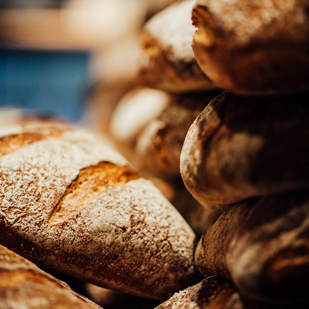 South End Barcelona Wine Bar