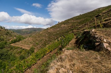 Intro to La Rioja