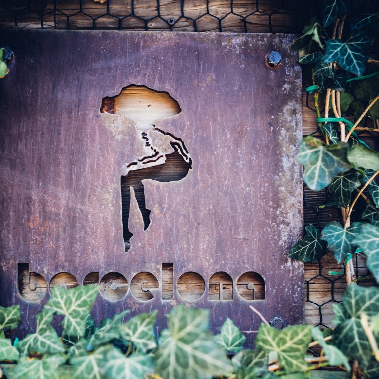 Brookline Barcelona Wine Bar