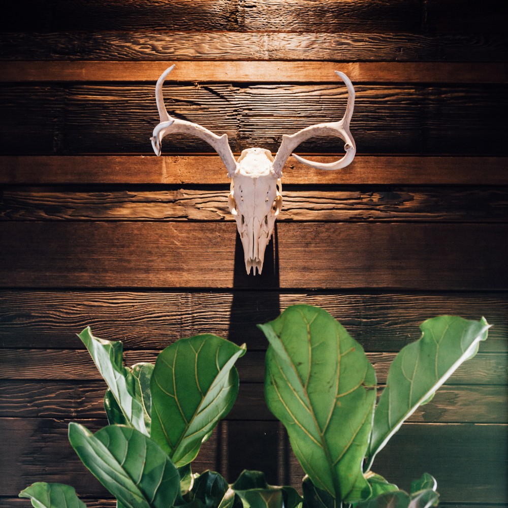 Reston Barcelona Wine Bar